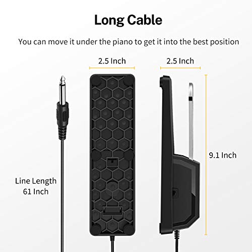 https://m.media-amazon.com/images/I/41rn1VNFoML._SL500_.jpg