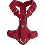 HUNTER Geschirr Maldon Up Limited Edition kirschrot M