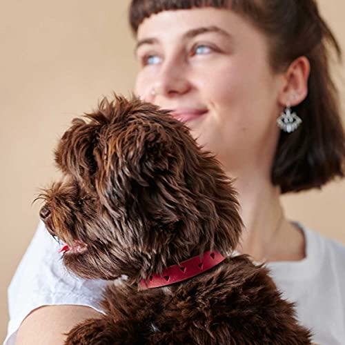 Collier pour chien en cuir de vache résistant HUNTER Aalborg taille 50 rouge - 6