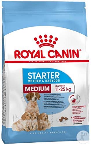 Royal Canin Medium Starter Dog Food, 1kg