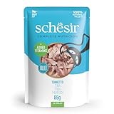 Schesir