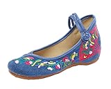 AvaCostume Women's Embroidery Fan Pattern Casual Mary Jane Shoes, Blue 10