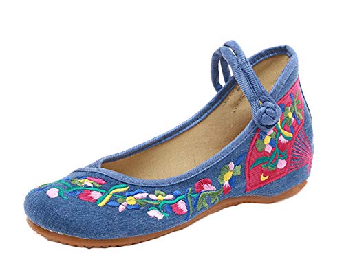 AvaCostume Women's Embroidery Fan Pattern Casual Mary Jane Shoes, Blue 41