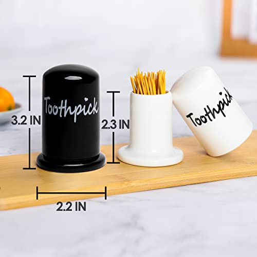 Swetwiny Ceramic Toothpick Holder Set of 2, Porcelain Toothpick Holder Dispenser with Lid for Home and Kitchen Decor (White+Black)