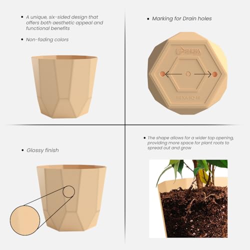 Image of YUCCABE ITALIA SHERA Hexa Plastic Planter Pot for Plants | Decorative Flower Pot | UV Protected Lightweight Indoor Outdoor Gamla for Home Decor, Balcony, Garden & Living Room (Beige, 10 INCH - 3 Pcs)