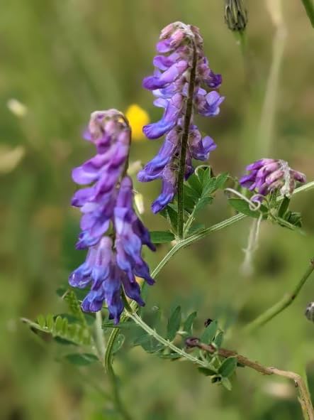 View 3