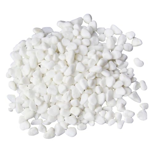 CWPFVQA Lot De 2 Pierres Décoratives pour Vase, Pierres Décoratives Blanches, Pierres...