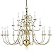 Livex Lighting 5015-02 Williamsburg 22-Light Chandelier, Polished Brass
