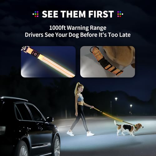 PetIsay Night Walking LED Dog Leash - 6FT Reflective & Waterproof Light Up Safety Leashes for Dogs - USB Rechargeable, Orange by PetIsay - Image 3