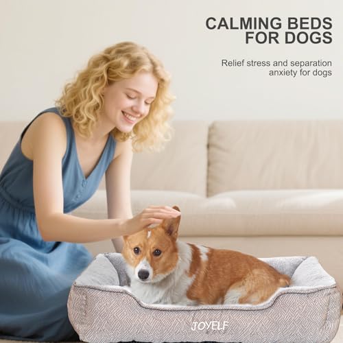 JOYELF Hundebett Waschbares beruhigendes Katzenbett, süßes Flauschiges Haustier Anti Angst Sofa für kleine bis mittelgroße Hunde und Katzen - mittelgroßes Rechteck