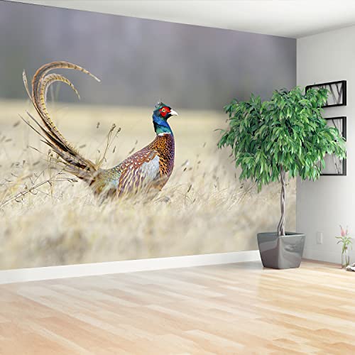 Papier peint faisan Tulup 152x104cm décor mural moderne - 3