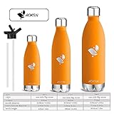 Aorin 500ml Trinkflasche (Orange) - 5
