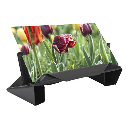 Pantalla protectora de ojos con amplificador de 10 pulgadas contra la fatiga visual 5