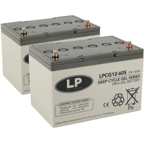 Lot de 2 batteries gel plomb 12 V 60 Ah compatibles avec fauteuil roulant, E-Mobil pour personnes âgées, etc.