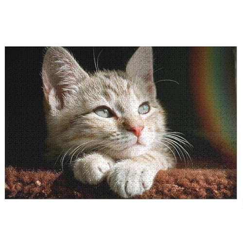 L   pY NG[VAjObY ϋv l jp D ߋ t@[Xg`CX ؐ  Ǐ葡蕨 av[g 1000 PCS