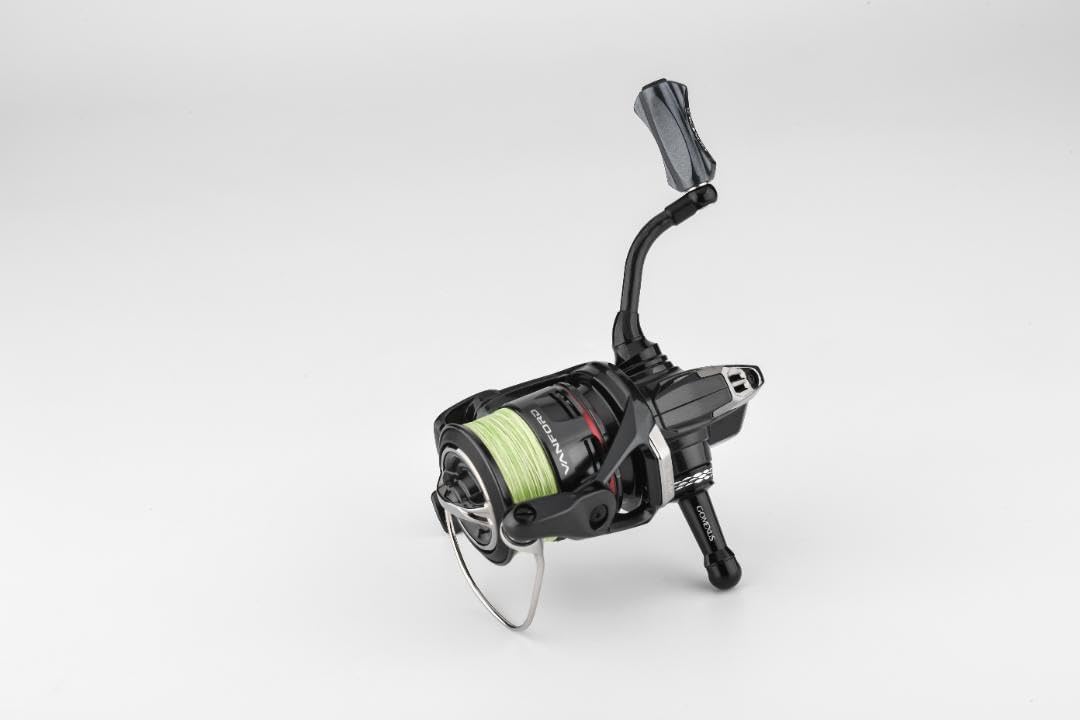 美品 掛け軸 国井道成作 名号「南無阿弥陀仏」本尊熊皮御影 親鸞聖人