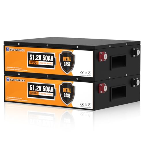 ECO-WORTHY 48V 100Ah (2Pack 48V 50AH) LiFePO4 Solar Batteries, Metal Case Lithium Battery, Built-in...