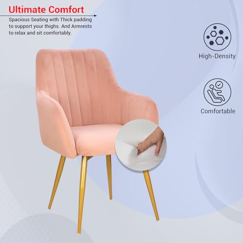 Image of Taboo Velvet Dining Chair Set of 2 | Upholstered Accent Arm Chairs | Soft Cushioned Seat with Backrest | Modern Velvet Fabric Chairs with Metal Legs | Living Room, Bedroom, Cafe & Restaurant | Peach