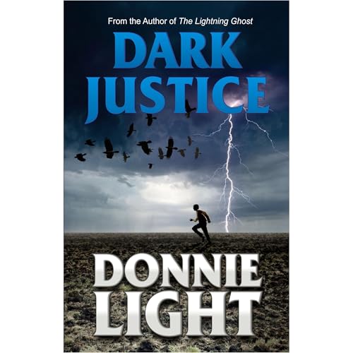 Dark Justice Audiobook By Donnie Light cover art