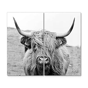 DEQORI Herdabdeckplatten Glas 2er Set Hochlandrind