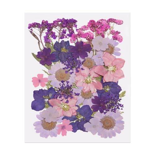 PATIKIL 35 Pcs Hojas de Flores Secas Prensadas Naturales miniatura 1