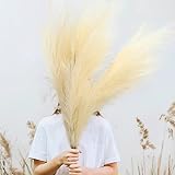 SuSire Fleurs Séchées de Pampa: 110cm Bouquet de Fleurs Séchées Artificielle Champêtre Lot de 3 Herbes de La Pampas Séchées Grande Taille Décoration Mariage Maison - Beige