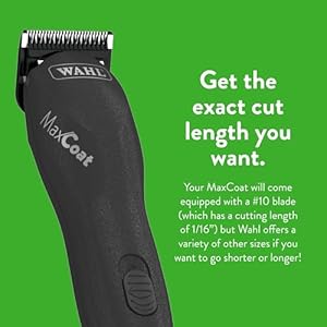 Wahl-Pro-Animal-Pet-MaxCoat-Clipper-Dog-Cat-Horse-Clipper-Powerful-Pet-Grooming-Clipper-Corded-Pet-Clipper-Quiet-Black - Cucciolini Doodles   Wahl-Pro-Animal-Pet-MaxCoat-Clipper-Dog-Cat-Horse-Clipper-Powerful-Pet-Grooming-Clipper-Corded-Pet-Clipper-Quiet-Black