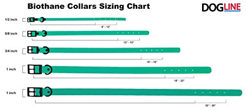 Dogline Personalized Custom Biothane Waterproof Dog Collar Strong Coated Nylon Webbing with Black Hardware Odor-Proof Easy Care Clean Fits Small Medium or Large Dogs Teal W1/2\" x L9-12
