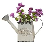 Macetero Decorativo Vintage Pequeño, de Metal en color Blanco, con diseño de Regadera cuadrada, que combinará fácilmente con cualquier decoración sin desentonar con otros colores. Tiene un acabado Envejecido.