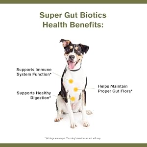 by Katherine Heigl- Super Gut Biotics Canine Digestive Supplement,Probiotics, Prebiotics, Supports Healthy Digestion, Immune System Function and Gut Flora (30 Scoops) by Katherine Heigl- Super Gut Biotics Canine Digestive Supplement,Probiotics, Prebiotics, Supports Healthy Digestion, Immune System Function and Gut Flora (30 Scoops)