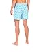 Cabana Bro Men's Swim Short - The Bromingos Flamingo Pattern Swim Trunk, Medium