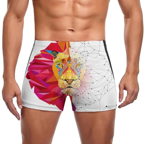 Maillot de bain slip short de bain homme lion géométrique boxer swim