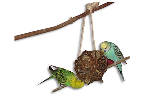 Wellensittich Spielzeug Vogelgaleria 6-teiliges Set für Vögel