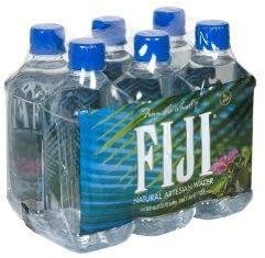 Fiji Natural Artesian Water, 16.9 oz. 16.9 oz. 6-Count (Pack of 4)