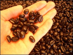 fuhfBi[uhR[q[2ނ̂Zbg(̂܂܃^Cv)