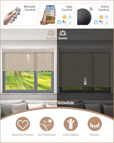 Smart home Alexa hub