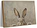 Framed Vintage Easter Bunny Wall Art Neutral Easter Rabbit Ears Spring Picture Wall Decor Animal Cottagecore Poster Print for Nursery Kids Room Living Room Bedroom 12x16in