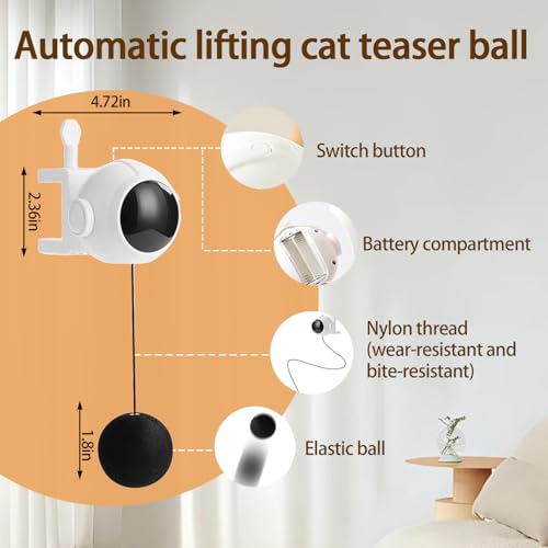 Jouet d'intérieur pour chats et chatons pour rompre la solitude