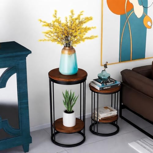 Image of Plant Stand Indoor Outdoor Metal, 2-Tier Modern Plant Shelf, Corner Flower Pot Holder, Plant Stand Table for Living Room Balcony Patio Garden Entryway Set Of 2 (Black & Brown)