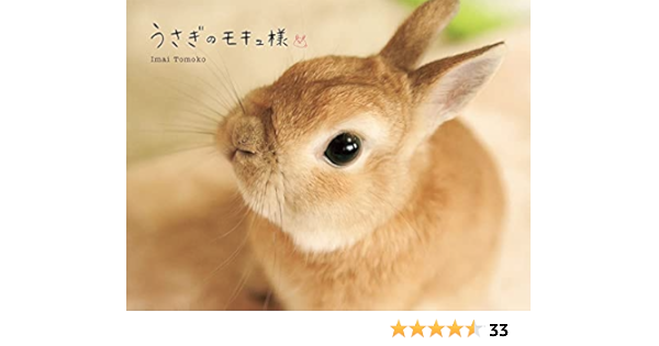 うさぎのモキュ様 Tomoko Imai 本 通販 Amazon