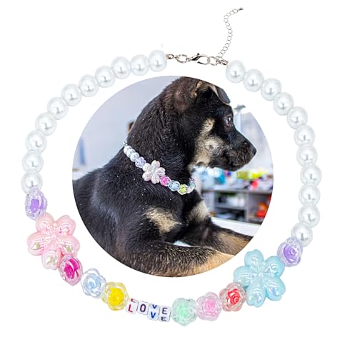 SM4BED ̎փp[lbNXA킢ƈ炵̔r[YA^̂߂̒߉\ȃybgWG[AXL 17C`