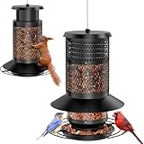 HAVENATURE Hanging Bird Feeder with Squirrel Baffle, Squirrel Proof Bird Feeders for Outdoors, Heavy Duty Metal Design with Large Capacity Hanging Birdfeeder for Outside, Black