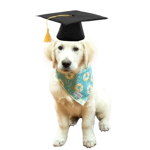 Sombrero de Graduación para Perro con Borla Amarilla miniatura 3