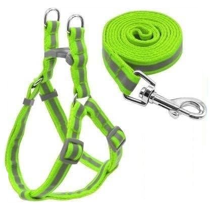DRK Shopmart Daily Walking 10 mm Reflective Nylon Puppy Harness & Leash Set for Small & Medium Dogs Pack of (Harness + Leash) Green (B0CLCSG9YP) Amazon Price History, Amazon Price Tracker