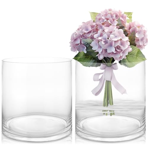 ZOFUN Lot de 2 Vase en Verre Transparent Lot de 2, vases cylindriques 20 cm pour Fleurs, Vase Rond décoratif pour Table, Salon, Mariage, Bougies, Roses,...