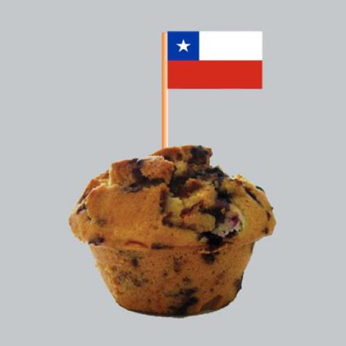 Preisvergleich Produktbild Zahnstocher : Chile 50er Packung