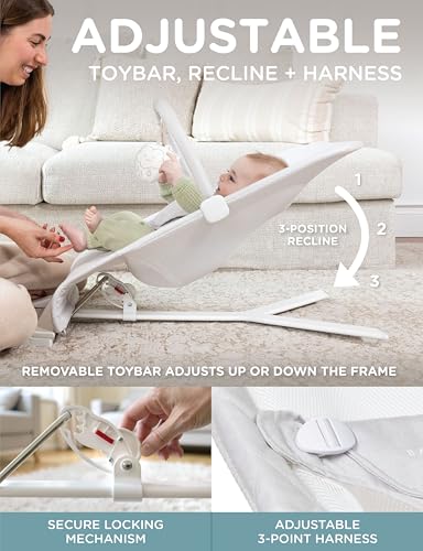 Image of Baby Delight Alpine Deluxe Portable Bouncer, Driftwood Grey | For Infant 0 - 6 months, 3-Position Recline, 3-Point Safety Harness, Removable & Washable Cover, Detachable Toy Bar