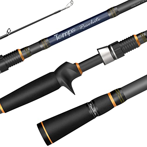 10 Best Baitcasting Rods Under 100 Compare and Choose the Best