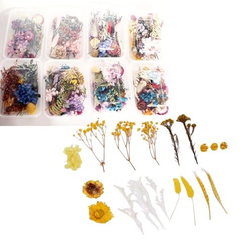 Paquete de ramos de flores secas para manualidades miniatura 3