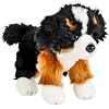 Adventure Planet Bernese Mountain Dog Heirloom Floppy 12